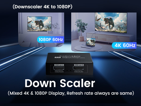 hdmi splitter downscaler