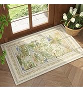 Rugcomf 2x3 Rug Vintage Indoor Door Mat Machine Washable Small Area Rug Non-S...