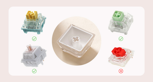 Lusterfly jelly kecaps set