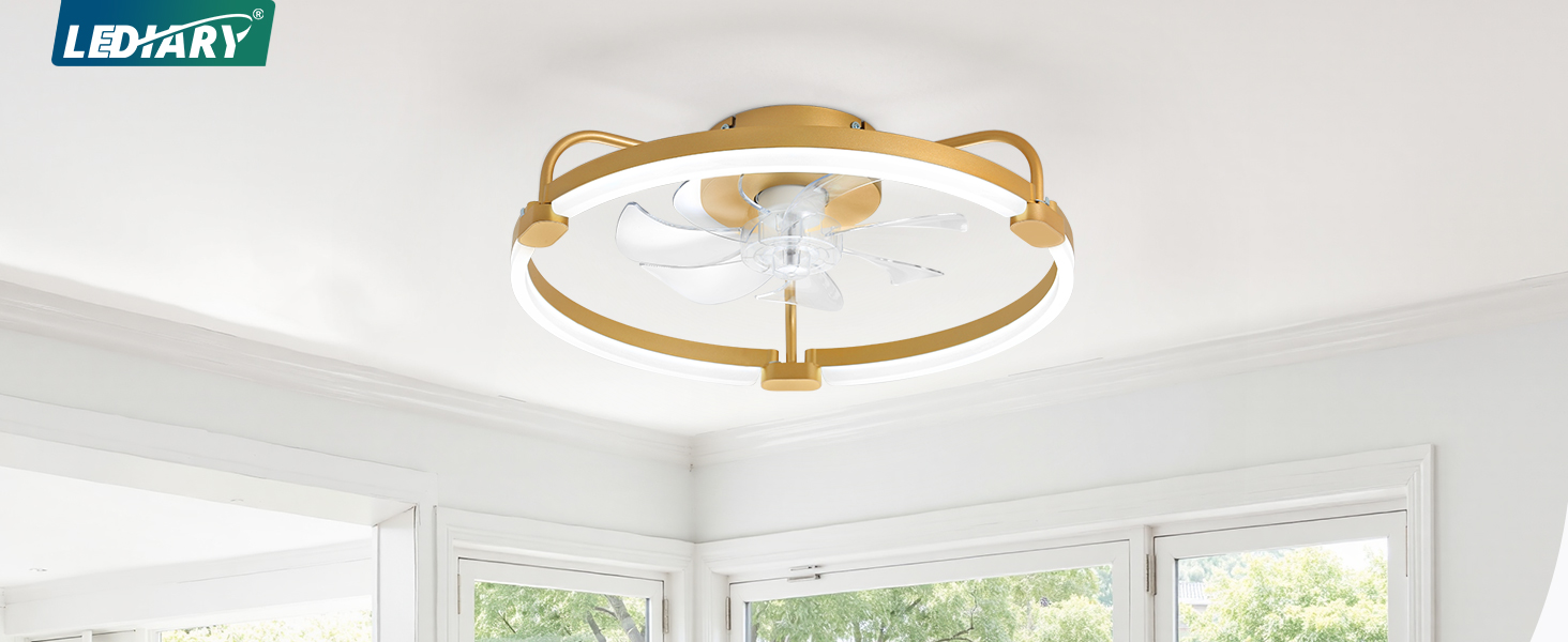 ceiling fan