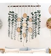 Real Eucalyptus Boho Bathroom Wall Hanging Decor-Dried Greenery Leaves Stems Wall Hanging Plants ...