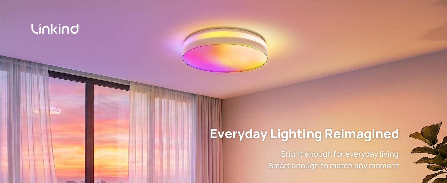smart ceiling light