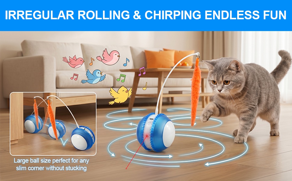 cat toy ball