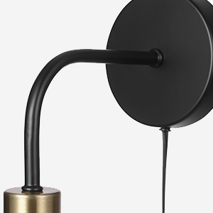 Holden Matte Black and Brass Plug In or Hardwire Wall Sconce