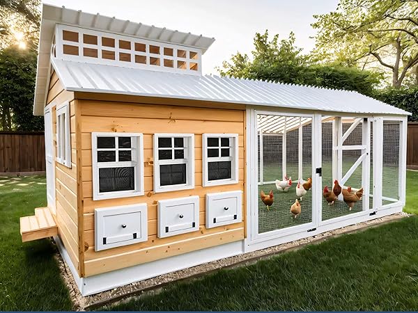 chicken coop window