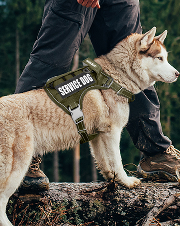 Air No Pull Dog Harness