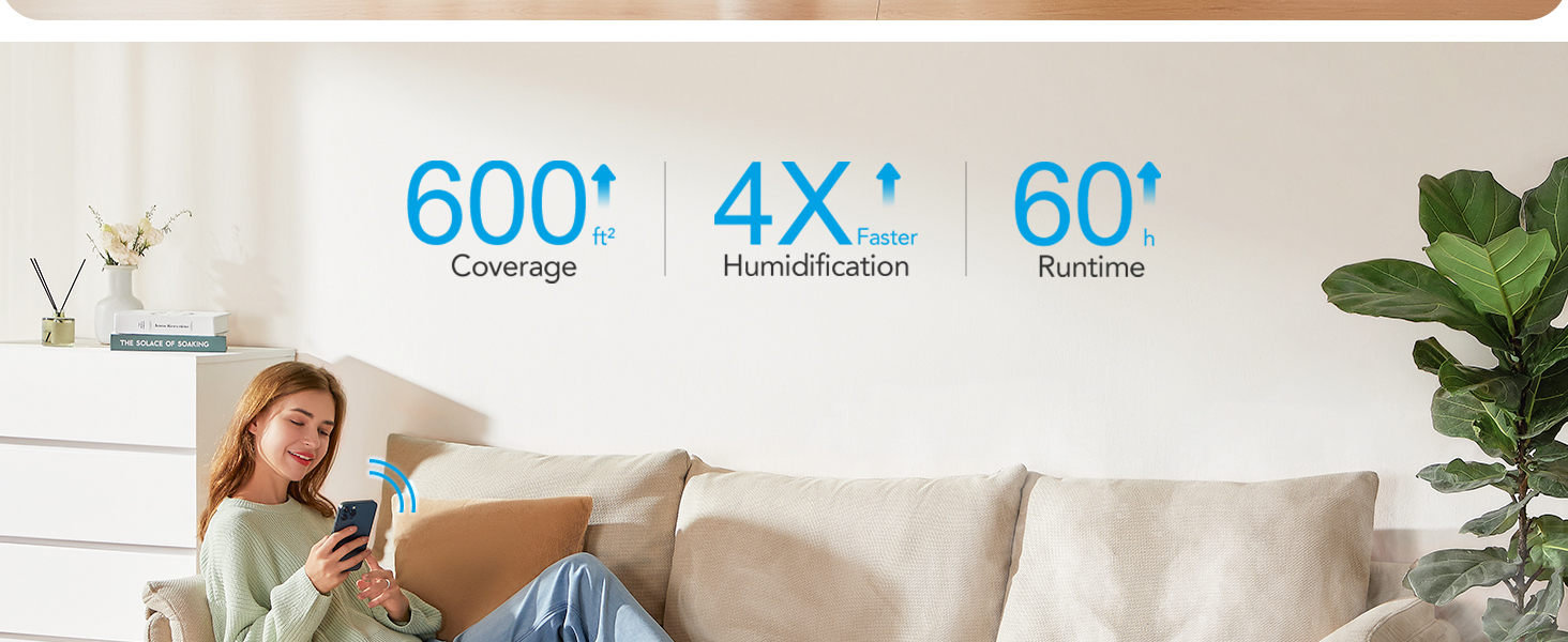 Powerful Humidifier