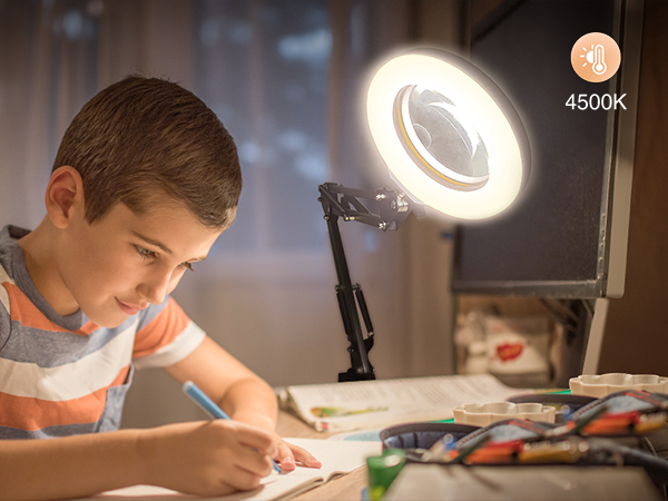 desktop magnifying glass with light