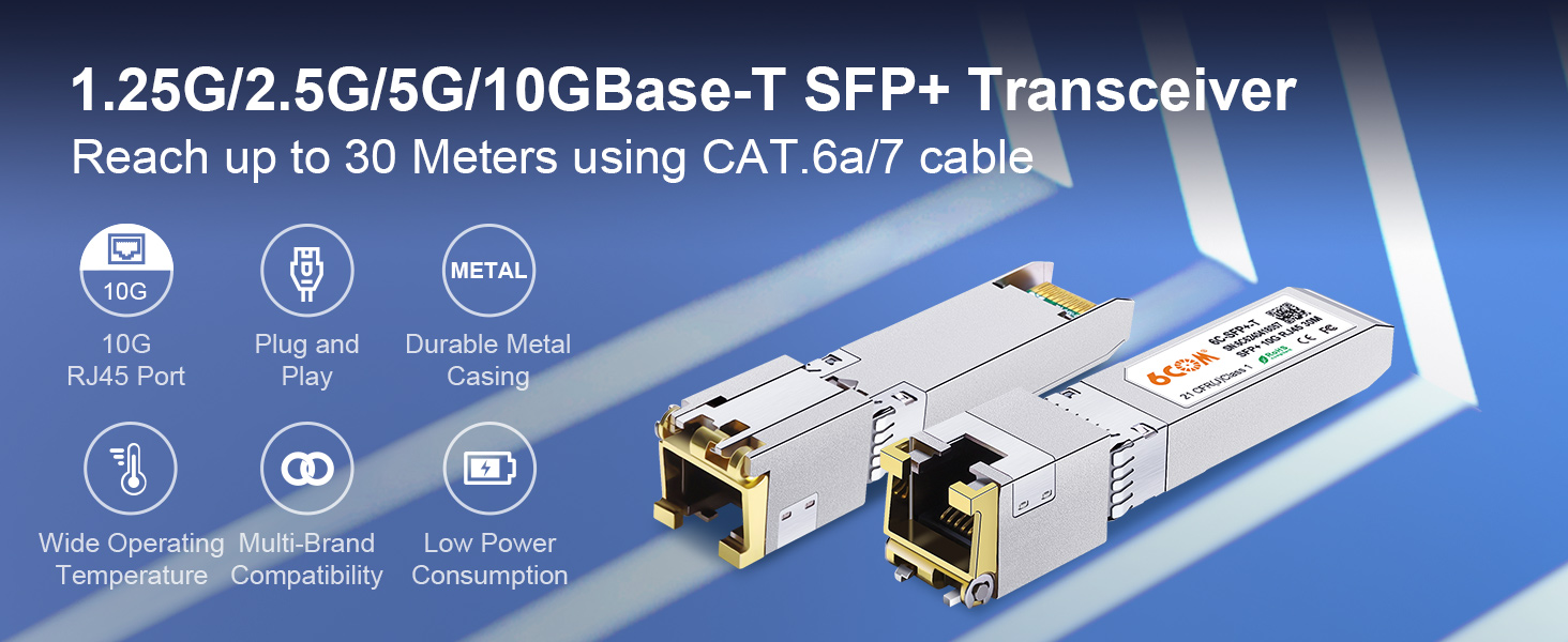 10G BASE-T