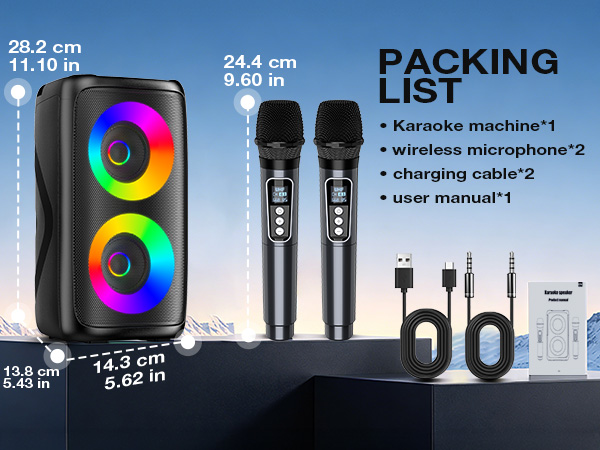 karaoke machine for adult