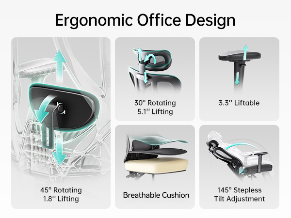 ergonomic office chair