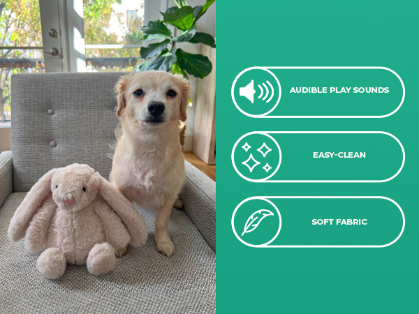 dog toys for large dogs