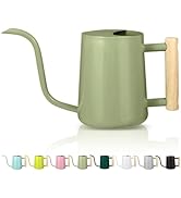 Watering Can Indoor Plants, 35oz Small Watering Can Indoor Stainless Steel Metal Watering Can Mod...
