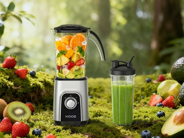 blender and food processor combo