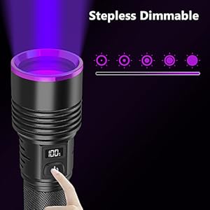 bed bug light detector