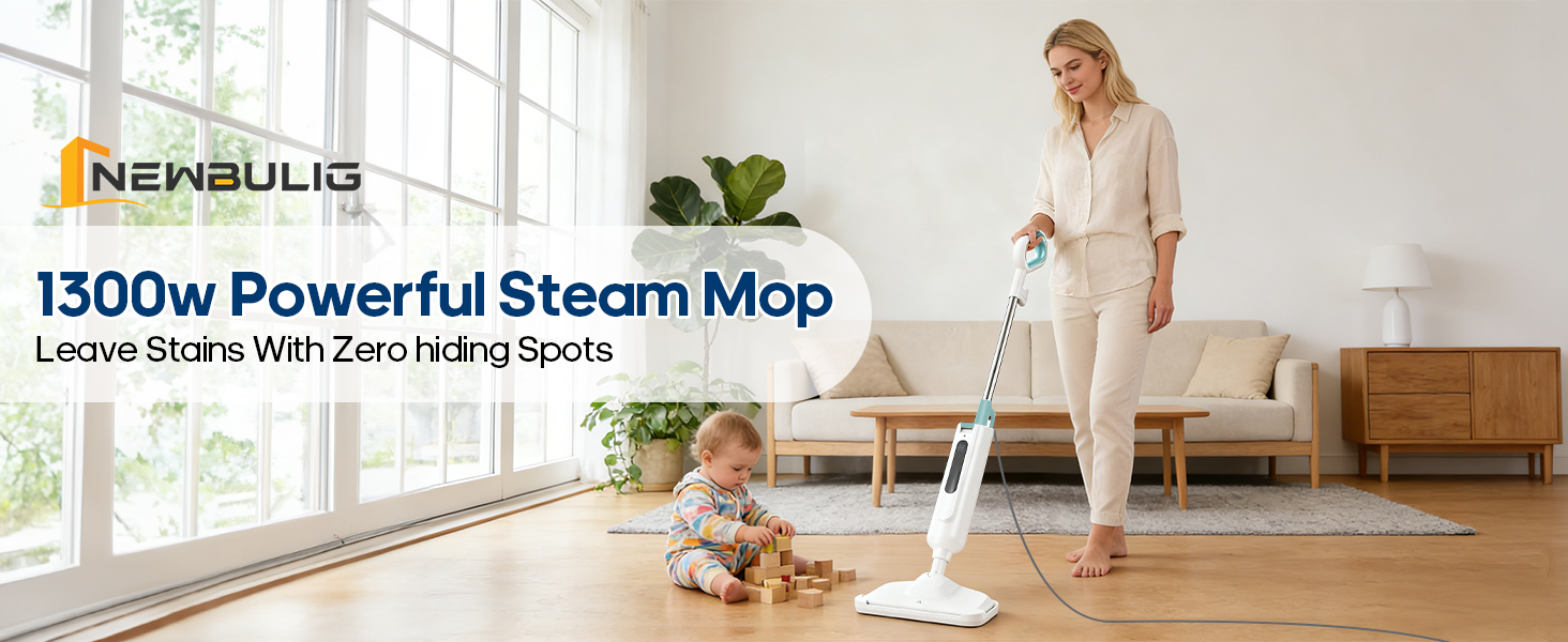 Steam Mop