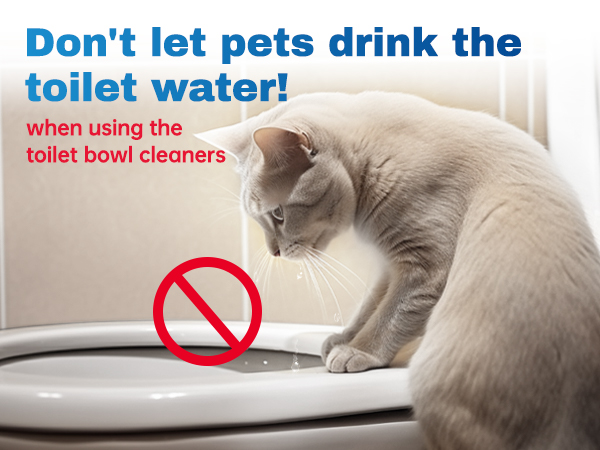 Toilet Bowl Cleaners