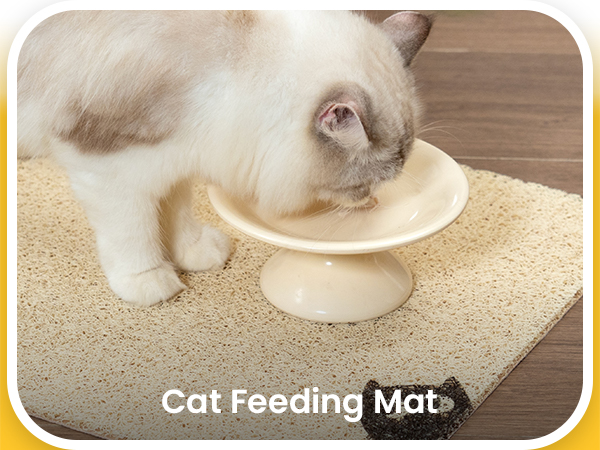 cat litter mat
