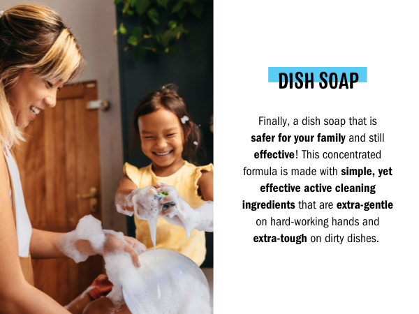 Dish Slide 2