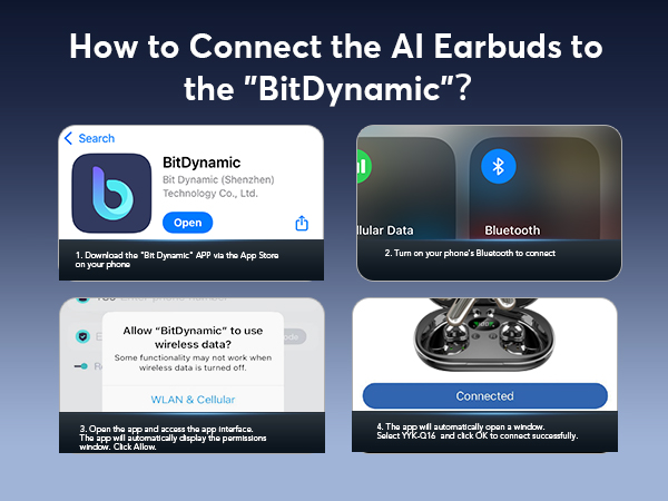 translation earbuds