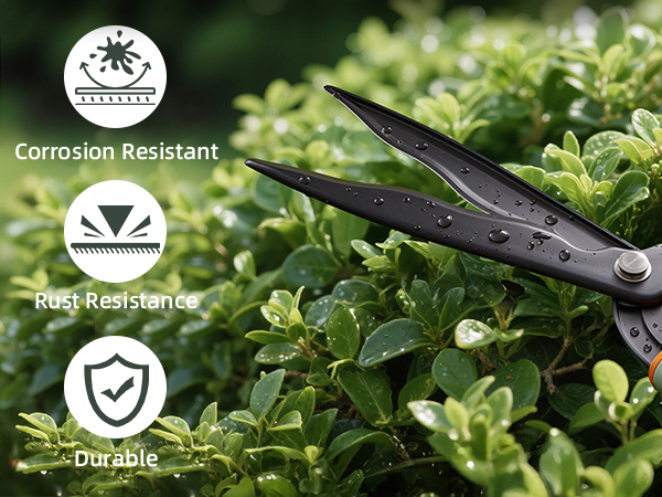 Hedge Clippers Shears