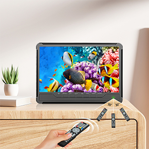 Portable TV with Antenna