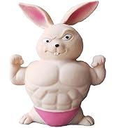 FSFHSJ Funny Squishy Bunny Toys, Squeeze Rabbit Toy, Stretchy and Squishy Bunny Toy , Pink Muscle...