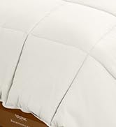 Bare Home Comforter Set - Twin/Twin Extra Long Size - Ultra-Soft - Goose Down Alternative - Premi...