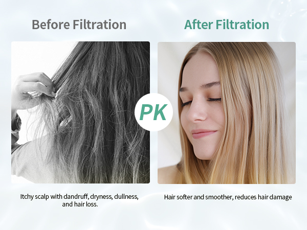 Filtered Shower Head