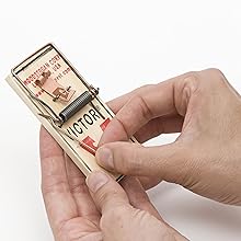 https://m.media-amazon.com/images/S/aplus-media/vc/34af56a5-0390-4f57-be0f-ad0225f86581._SL220__.jpg