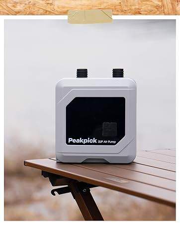 D19PRO