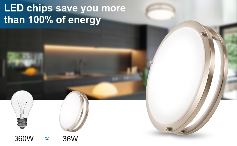 Ceiling Light Fixture