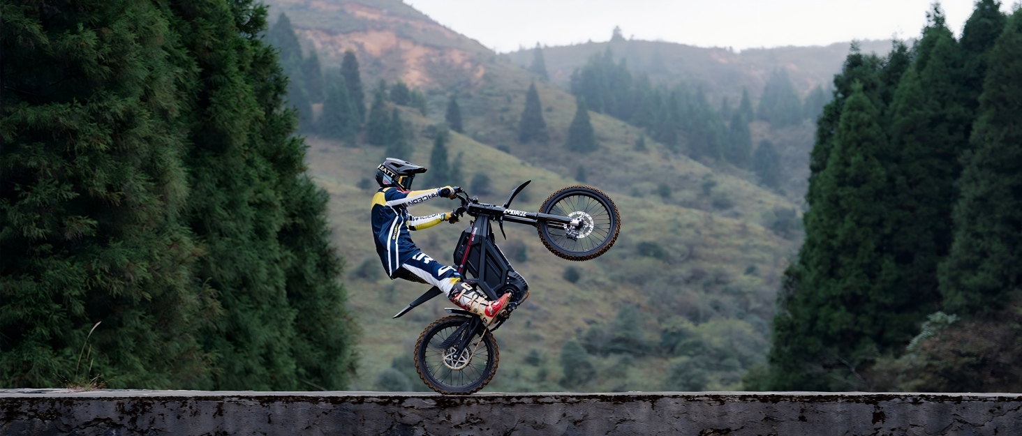 EBIKE