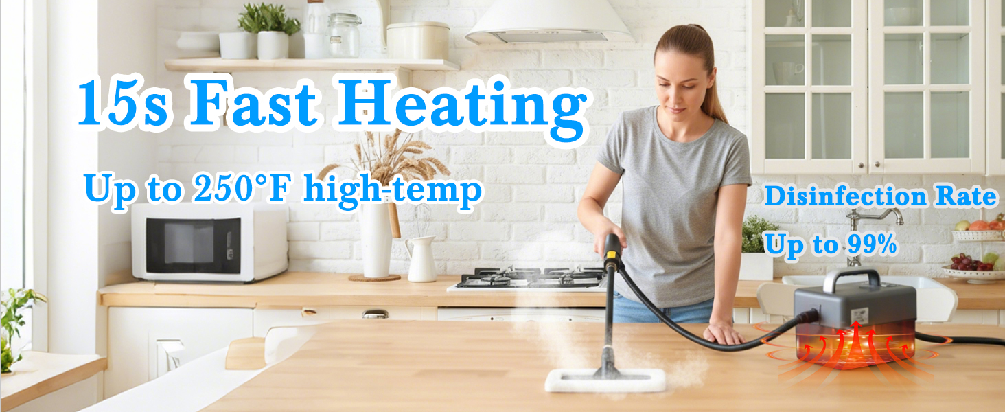 steam cleaner handheld