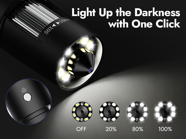 magnifier with light