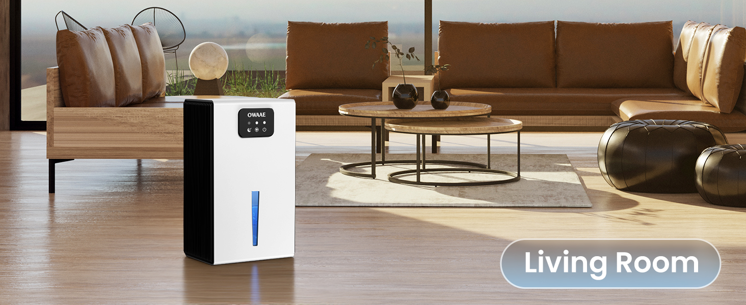 dehumidifiers for home