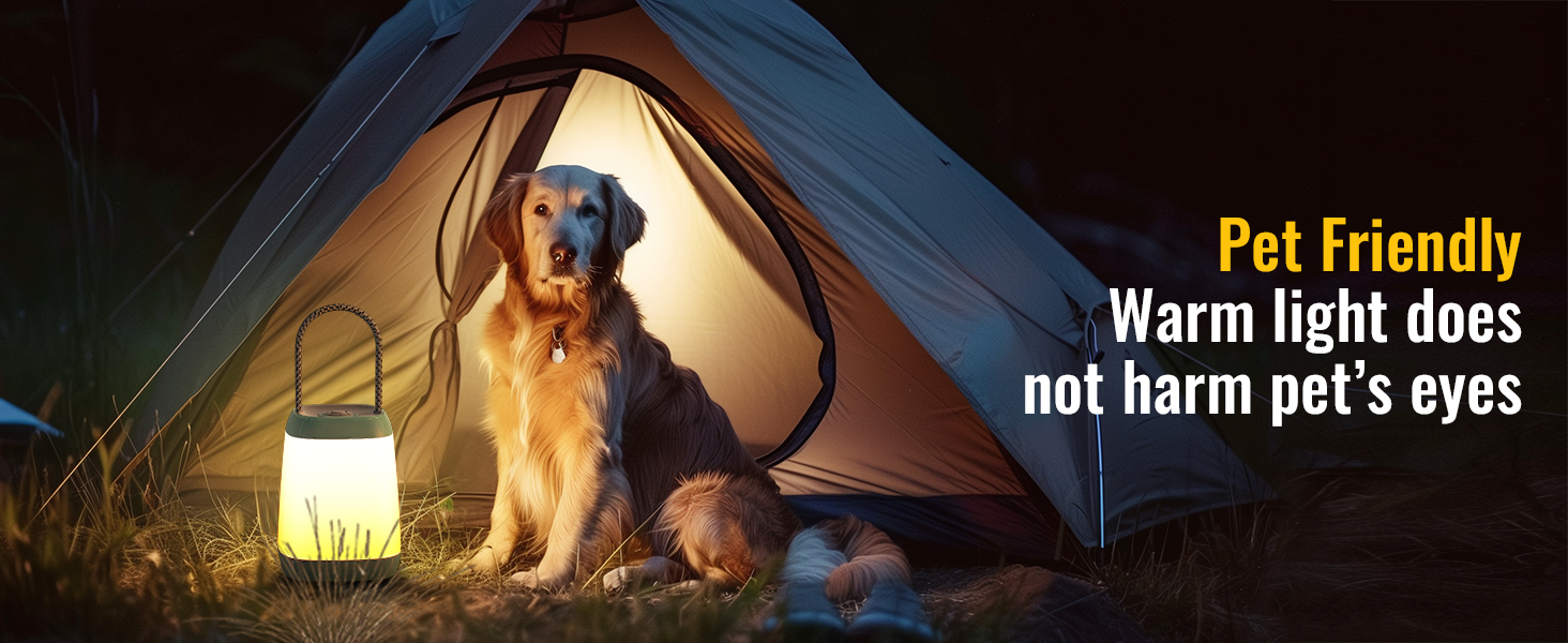 camping lantern for kids