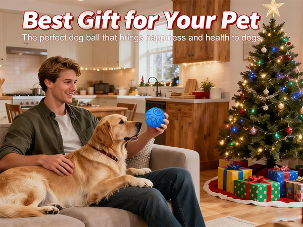 dog ball
