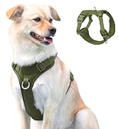 Adjustable 2 Layer Mesh Dog Vest with Dual Clip Escape Proof Quick Release, Lightweight Breathable
