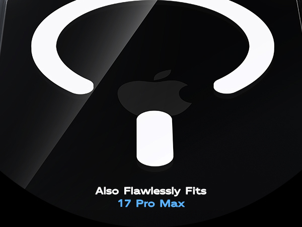 17 pro max case