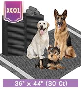 dog pee pads extra large