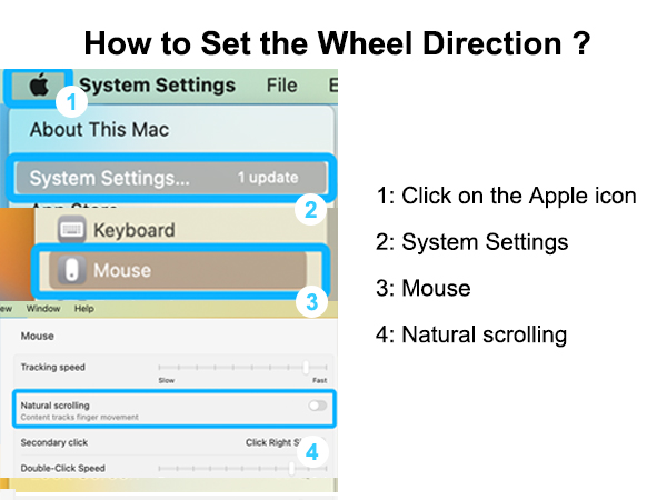 Wireless Bluetooth USB C Mouse