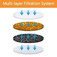 Multi-layer Filtration System