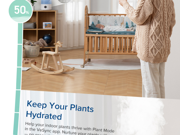 keep your plants hydrated