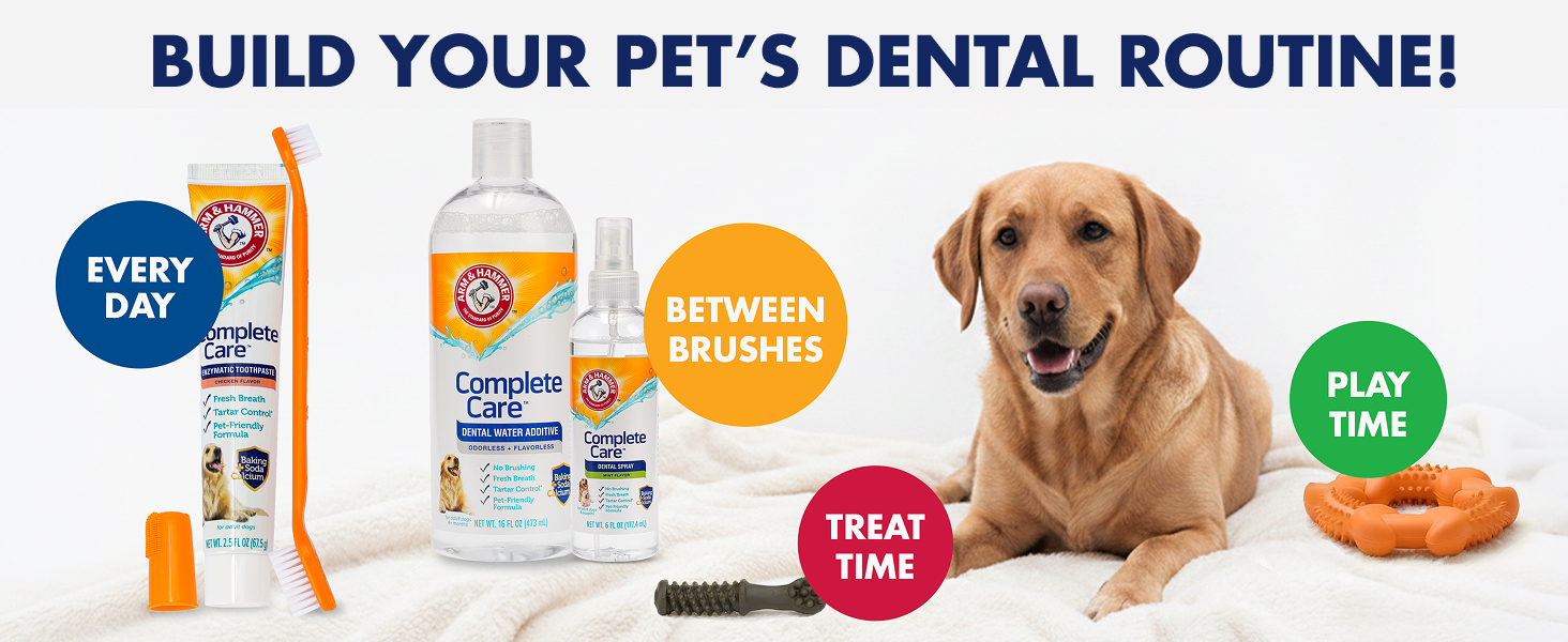 Build your pet&amp;#39;s dental routine!