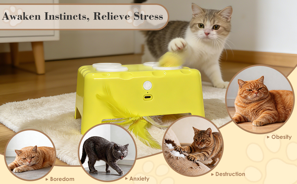 Cheese Box Interactive Cat Toy