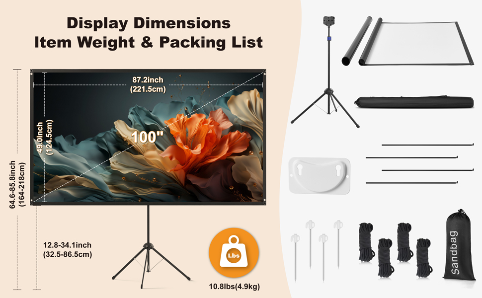 100 inch projector screen