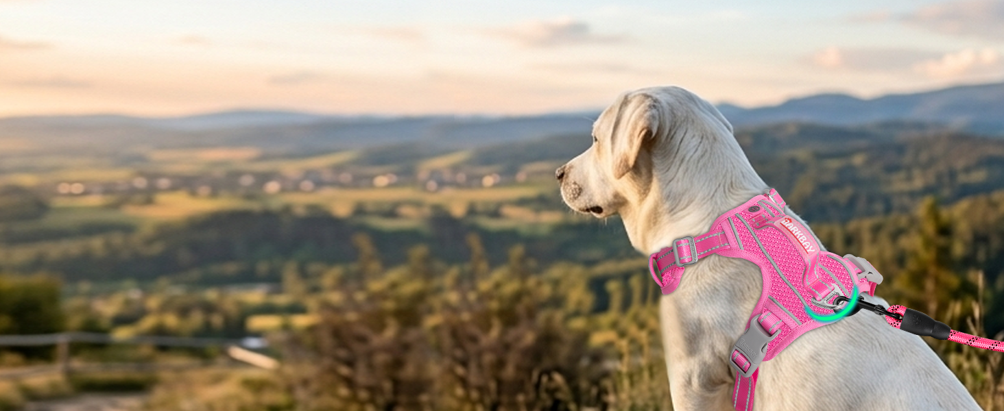 gentle leader harness reflective vest shepards hooks for outdoor dog seat belt