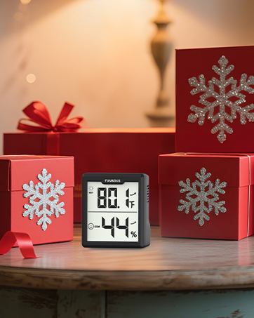 thermometer for house