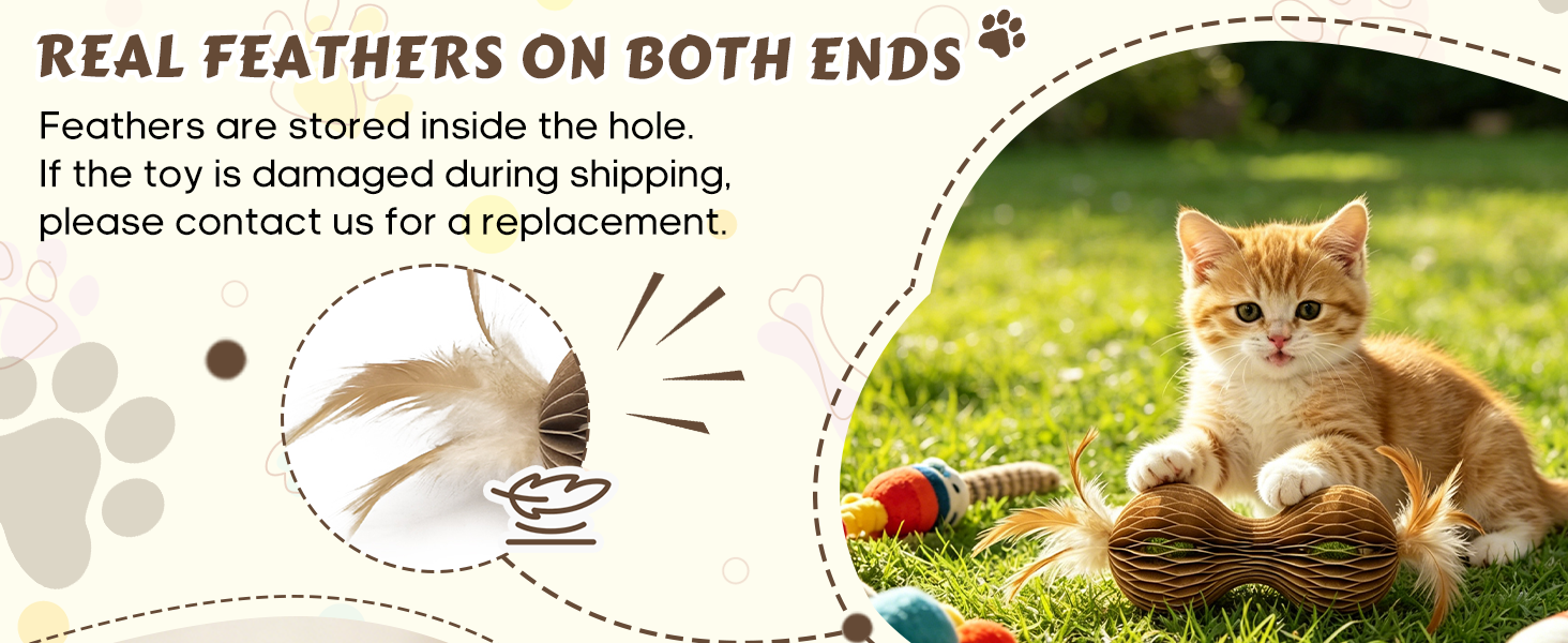 interactive cat toys